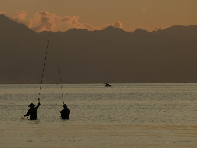 Lovina Beach: Schwarzer Sandstrand & Delfine